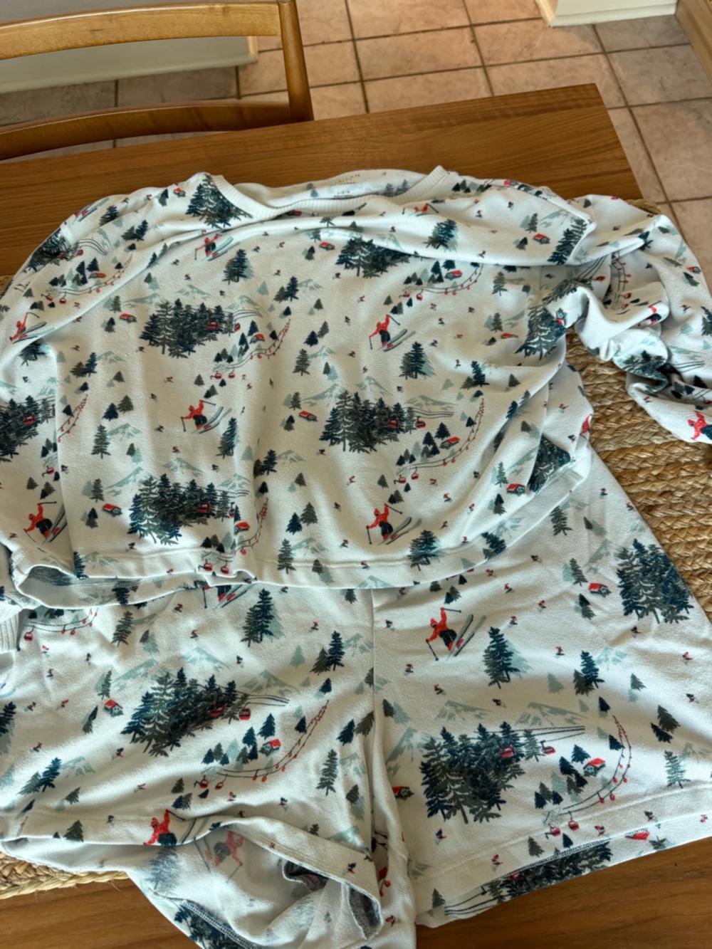 American Eagle Outfitters White Pullover with Forest & Ski Print